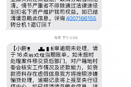 铁锋要债公司：专业债务追收，守护您的权益