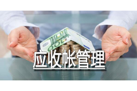 中国规模大的催收公司：揭秘行业领军者