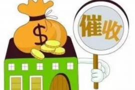 阳光贷款催收怎么报警？了解维权途径，保护自身权益