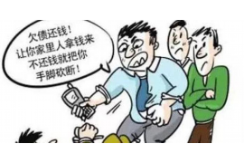 海尔金融客服催收：专业、高效、人性化